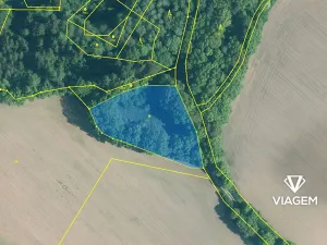 Prodej zahrady, Chrášťany, 3458 m2