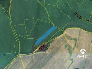 Prodej podílu pole, Čejetice, 1126 m2