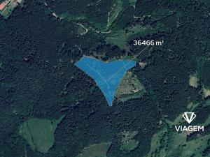 Prodej lesa, Všemina, 36466 m2