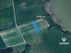 Prodej pole, Sirá, 4300 m2