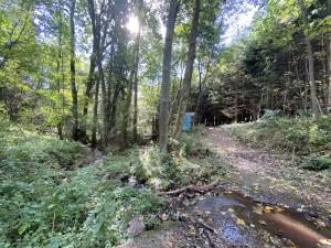 Prodej lesa, Lánov - Horní Lánov, 12297 m2