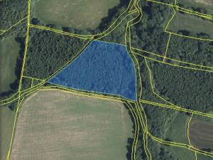 Prodej lesa, Lánov - Horní Lánov, 12297 m2