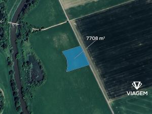 Prodej pole, Dub nad Moravou, 7708 m2