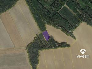 Prodej podílu pole, Horšovský Týn, 304 m2