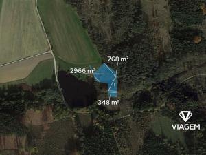 Prodej lesa, Jemnice, 4700 m2