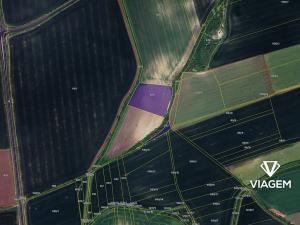 Prodej podílu pole, Bělušice, 1388 m2