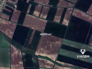 Prodej pole, Troskotovice, 4800 m2