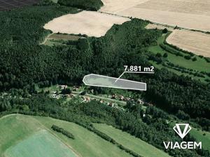 Prodej pole, Lašovice, 7881 m2