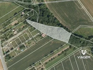 Prodej podílu lesa, Charváty, 596 m2