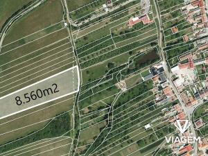 Prodej pole, Slavkov, 8560 m2