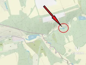 Prodej lesa, Kněždub, 402 m2