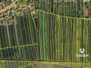Prodej pole, Kněždub, 6694 m2
