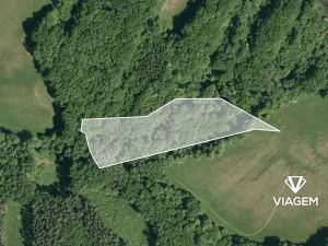 Prodej podílu lesa, Velký Ořechov, 1567 m2
