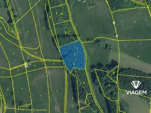 Prodej lesa, Košťálov, 4449 m2