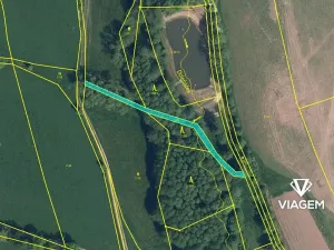 Prodej lesa, Košťálov, 5619 m2