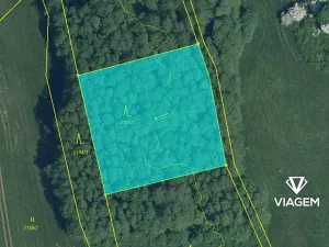 Prodej lesa, Košťálov, 5619 m2