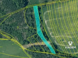 Prodej lesa, Třemošná, 1543 m2