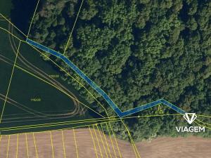 Prodej lesa, Hustopeče nad Bečvou, 347 m2