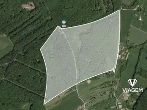 Prodej podílu lesa, Šanov, 2432 m2