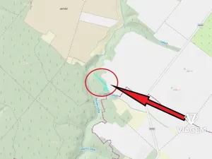 Prodej lesa, Čikov, 2239 m2