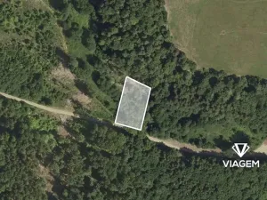 Prodej lesa, Buková, 981 m2