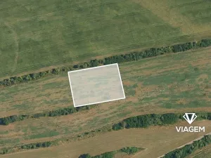 Prodej pole, Tachlovice, 4891 m2