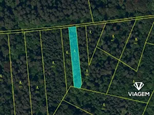 Prodej podílu lesa, Velká Polom, 2323 m2