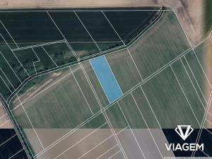 Prodej podílu pole, Pňovice, 350 m2