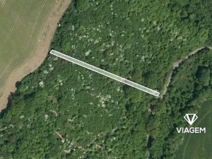 Prodej lesa, Březolupy, 1255 m2