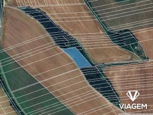 Prodej podílu pole, Nedachlebice, 437 m2