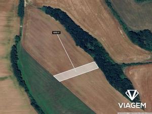 Prodej podílu pole, Nedachlebice, 530 m2