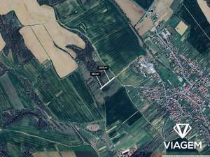 Prodej podílu pole, Traplice, 501 m2