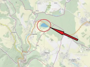 Prodej lesa, Loužnice, 41323 m2