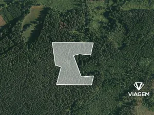 Prodej podílu lesa, Volyně, 1219 m2