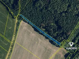 Prodej lesa, Skalička, 829 m2