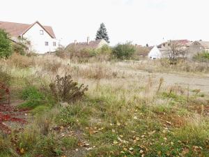 Pronájem obchodního prostoru, Praha - Břevnov, Bělohorská, 2373 m2