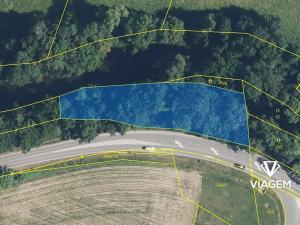 Prodej lesa, Dvůr Králové nad Labem, 1816 m2