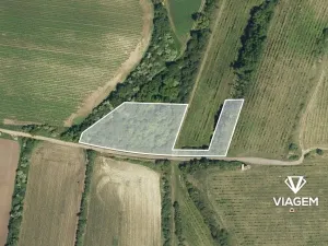 Prodej podílu zahrady, Božice, 551 m2