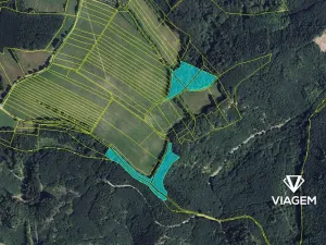 Prodej podílu lesa, Městečko Trnávka, 609 m2