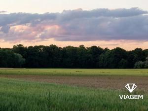 Prodej podílu pole, Střemošice, 1822 m2