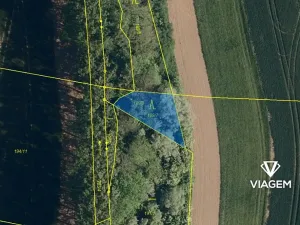 Prodej podílu lesa, Starý Jičín, 311 m2