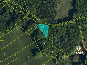 Prodej podílu lesa, Lešná, 311 m2