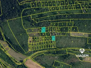 Prodej podílu lesa, Radkovice u Budče, 13191 m2