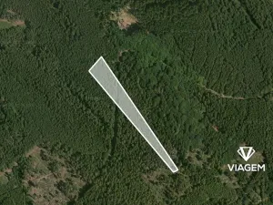 Prodej lesa, Hradiště, 4087 m2