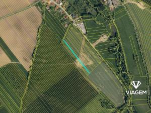 Prodej podílu pole, Choryně, 1131 m2