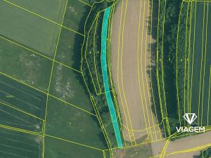 Prodej podílu lesa, Olešník, 647 m2