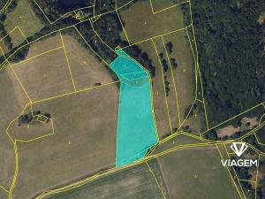 Prodej podílu pole, Holetín, 1222 m2