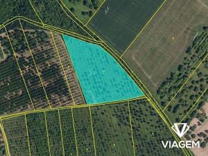 Prodej podílu sadu/vinice, Želešice, 511 m2