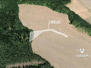 Prodej podílu lesa, Doubek, 697 m2