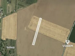 Prodej podílu lesa, Sebranice, 2296 m2